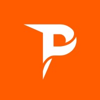 Paladium logo - Similar company to Epicube