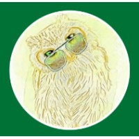 MJW Bookkeeping LLC logo - Similar company to Integrated Bookkeeping & Technology Solutions, Llc