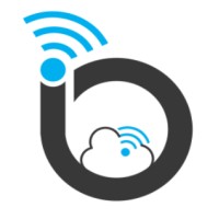 IOnitive Infotronix PVT LTD logo - Similar company to Nikvik Creations