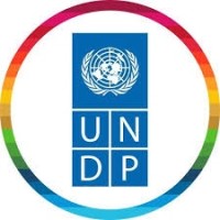 UNDP Denmark logo - Similar company to Undp In The Arab States Region