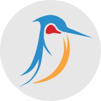 Kingbird Limited logo - Similar company to Digital Mobile