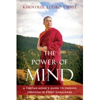 Katog Choling: Under the direction of Khentrul Lodrö T'hayé Rinpoche logo - Similar company to Qualreg Solutions