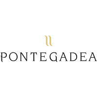 PONTEGADEA logo - Similar company to Active Compass Eaf
