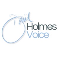 David Holmes Voice logo - Similar company to Audio Quants