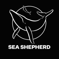 Sea Shepherd Conservation Society logo - Similar company to Go Eco