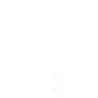 . logo - Similar company to Wheel Solutions Limited