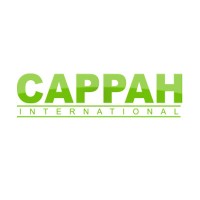Cappah International logo - Similar company to Ideal Tech Solutions