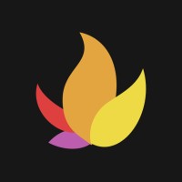 Blaze logo - Similar company to Double Symmetry