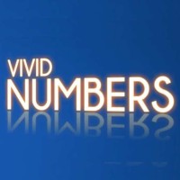 Vivid Numbers, PLLC logo - Similar company to People First Payroll