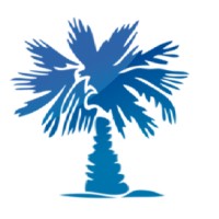 Brian Johnston - Palmetto Payment Solutions logo - Similar company to Paystar