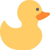 Duck Type LLC logo - Similar company to Ducktype