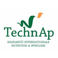 TechnAp logo - Similar company to African Renaissance Organization