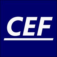CEF Solutions Inc. logo - Similar company to Nearsol