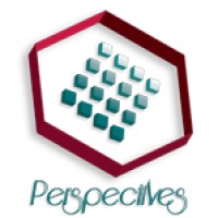 Perspectives Consultants logo - Similar company to Merlion Techs