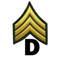 SGT Dee logo - Similar company to Softec