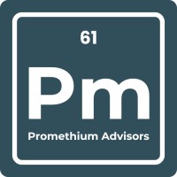Promethium Advisors LLC logo - Similar company to Entry-Master Systems