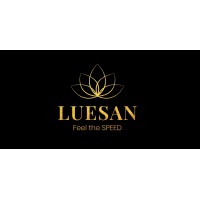 LUESAN logo - Similar company to Ct Cargo Europe