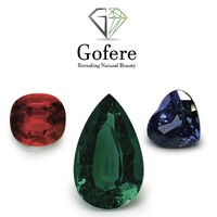 GOFERE GEM LTD logo - Similar company to Gemerald Ltd.