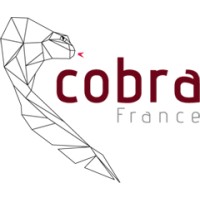 Club COBRA Amiens logo - Similar company to Tel & Cloud