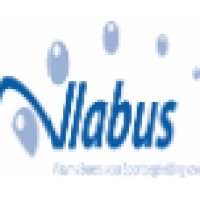Vlabus