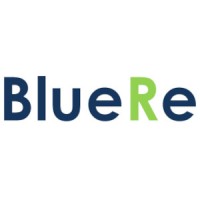 BlueRe logo - Similar company to Bluere Srl