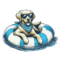 Doggy Paddle Whiskey logo - Similar company to Brynnstone Lending
