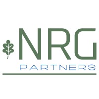 NRG Partners logo - Similar company to Jlu Recruitment
