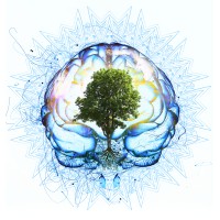 Eco-Psychology & Science of Sustainable Mind logo - Similar company to Earthwise Education