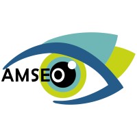 AMSEO logo - Similar company to Steady Tower