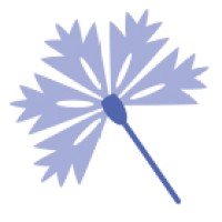 Bjoorn Marketing GmbH logo - Similar company to Showmyproject Digital Agentur Basel