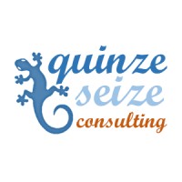 Quinze Seize consulting logo - Similar company to Sans Pépin