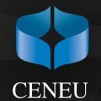 Ceneu logo - Similar company to Brightzen Systems