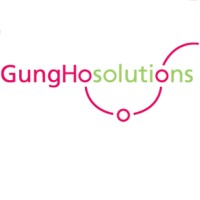 Gungho Solutions | Interim Management
