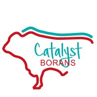 Catalyst Borans logo - Similar company to Africapaciti Investment Group