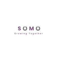 Somo Consulting logo - Similar company to Sumo Consulting