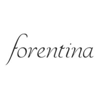 Forentina Hediyelik Eşya A.Ş. logo - Similar company to Plena Pro