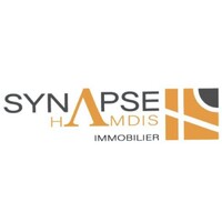 Synapse Immobilier Romandie logo - Similar company to Mawee