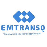 emtransq logo - Similar company to Emtrans Global
