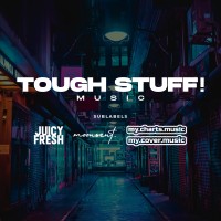 Tough Stuff! Music GmbH (i.G.) logo - Similar company to Tough Luck Creative