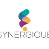 Synergique logo - Similar company to Hopsim®