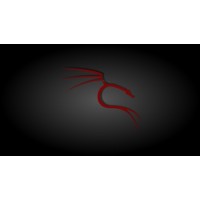 Muhammad Daniyal logo - Similar company to Devix.Ai