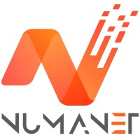 Numanet logo - Similar company to Diging