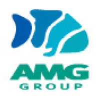 AMG Group logo - Similar company to Biostl Global