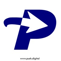 Push Digital logo - Similar company to Spini Digital