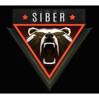 Siber Facade Group logo - Similar company to Abredanesh