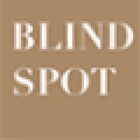 Blind Spot Magazine and Photo Based Art logo - Similar company to Faster, Llc