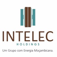 Intelec Holdings logo - Similar company to Anje