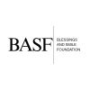 Blessings And Smile Foundation logo - Similar company to Change Catalyst Transformation