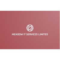 Meadow IT Services Limited logo - Similar company to Trustit Llc