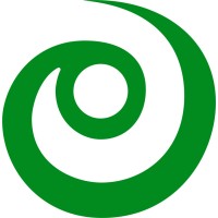 First Insight Corporation logo - Similar company to Futuristic5 It Solutions